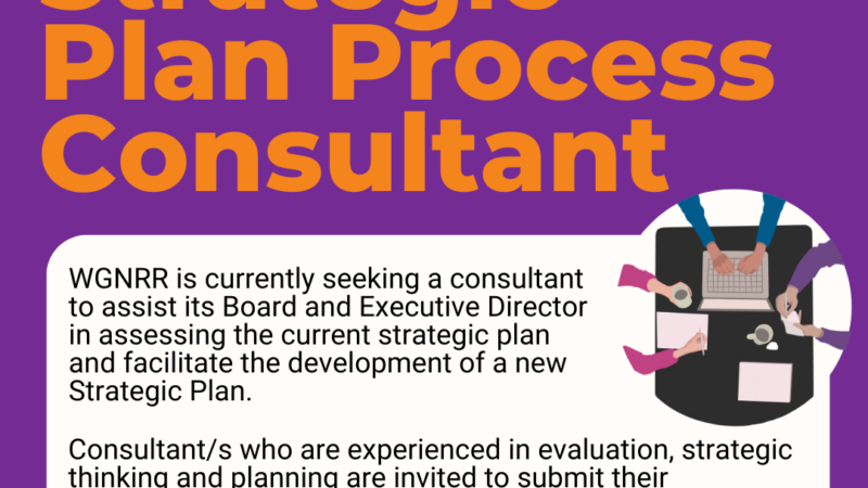 We're looking for a strategic plan process consultant