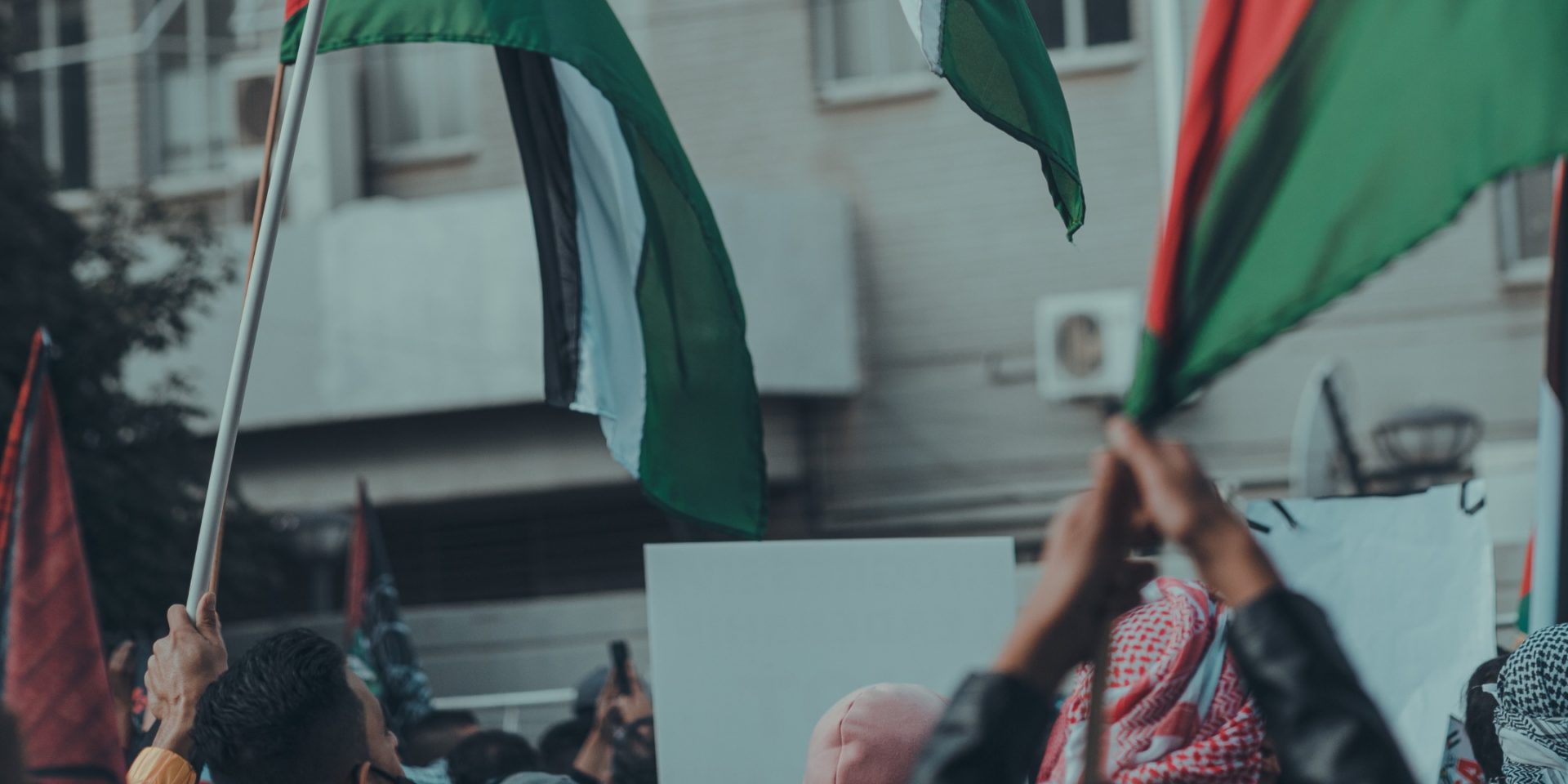 Solidarity Statement: End The War On Gaza Now! – WGNRR